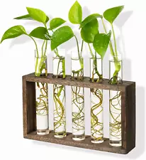 Wall Hanging Glass Planter Plant Terrarium with 5 Test Tube in Wooden Stand Rack