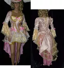 Mary Antoinette Costume Dress Gown Large