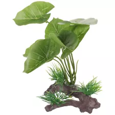 1PC Lasting Decorative Widely-used Quality Small Plants for Terrarium Supply