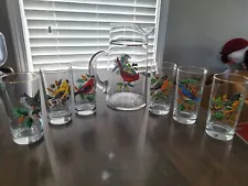 West Virginia Glass Co. Songbirds of America Vintage Glasses/Pitcher (Set of 7)