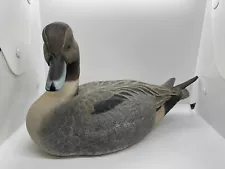 Northern Pintail Drake Duck Decoy