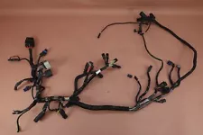 2009-2021 Harley Davidson Iron 883 XL883N Main Wire Harness Wiring Loom (For: 2009 Harley-Davidson Iron 883)