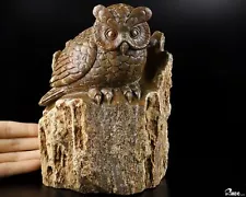 7.1" Petrified Wood BRANCH Carved Crystal Owl Sculpture, Realistic, Healing