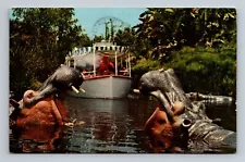 Jungle Cruise Boat Cruise Disneyland Adventureland Florida Vintage