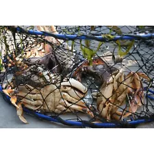 commercial blue crab pots for sale