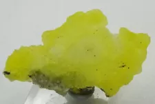 Brucite, Bright Yellow Botryoidal Specimen, Pakistan - Mineral Specimen for Sale