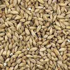 10 lbs American Brewers Malt - Briess Malting