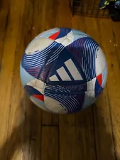 FIFA Quality Size 5 Soccer Balls (Adidas, Nike, Puma, Umbro, Select)