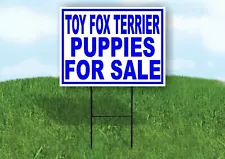 toy fox terrier puppies for sale