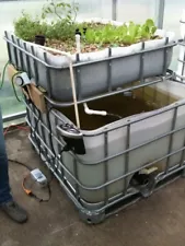 Large Aquaponic System w/ 200 gallon tank. 48x40 grow bed for organic gardening!