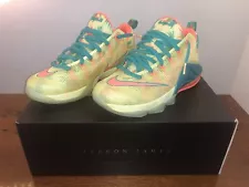 NIKE LEBRON XII 12 LOW PREMIUM LEBRONALD PALMER. SIZE 10 BARELY WORN VNDS