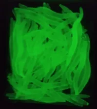 50ct - 1.5" Micro Glow Luminescent Worms Crappie Walleye Trout Ice Fishing