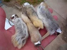 LUCKY RABBITS FOOT RABBIT'S FEET QTY 4 GENUINE RABBIT'S FOOT NATURAL KEY CHAINS