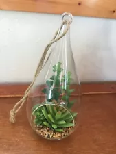 Gently Used Small Clear Glass Hanging Terrarium w Faux Green Succulent Plants -