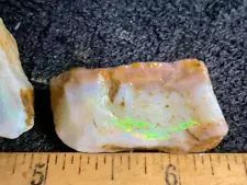 Z~ Coober Pedy Opal Rough Parcel 16 grams dome jar included