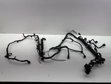 2004 Ford F250 Super Duty 5.4L Engine Wire Harness (engine)