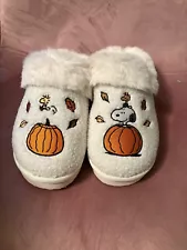 American Eagle Peanuts Fall Snoopy Women’s Slippers Size 8 (read Description)