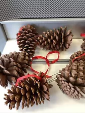 pine cones, For flowers, crafts, Christmas, Up To 6” Tall, Red Ribbon