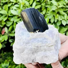 2.66LB Natural black tourmaline and quartzite symbiotic mineral specimens