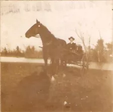 Guy in a Horse Wagon Cabinet Card Texas