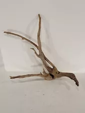 Natural Drift Wood From Freshwater For Aquarium - Terrarium - Decoration -Plants