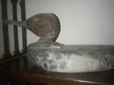 ANTIQUE VINTAGE DUCK DECOYS FOR SALE 1920S MERGANSER TACK EYES S.F. C.A.