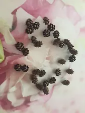 25 Pcs Marvelous mini fortune Pine Cones for sale!!!