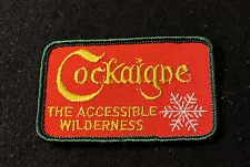 COCKAIGNE Lost Area 1966-2011 Skiing Ski Patch NEW YORK Souvenir Resort Travel