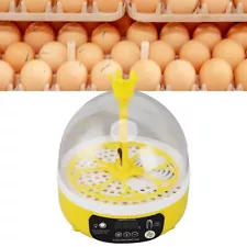 US Automatic Temperature Humidity Control Mini Egg Incubator Auto Turning 4 Eggs