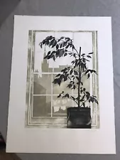 *Tessa Beaver A/P Print Ltd Edition Lithograph Etching. Weeping Fig HousePlant*