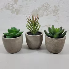 3 Piece Faux Succulent Plants Artificial Mini Potted Cacti Indoor Plant Decor