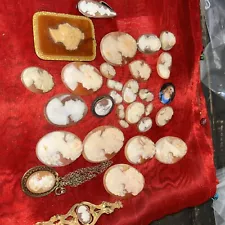 Victorian Cameo Lot