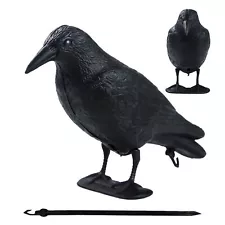 crow decoys for sale