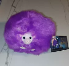 pygmy puffs for sale