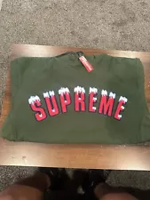 Supreme Icy Arc Hoodie Size Medium - Green -