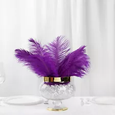 12 pcs 13"-15" long Genuine Ostrich Feathers for Wedding Party Centerpieces SALE