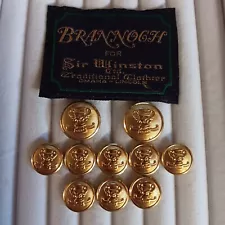 Brannogh Gold Blazer Buttons 10 2-Large 8-Small Waterbury Trophy