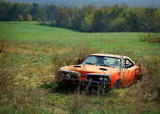 Dodge super bee rusting in an open field 1970 8 x 10 Photograph