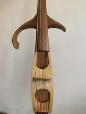 electric upright bass