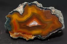 Condor agate collector specimen