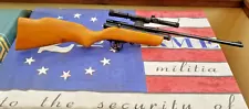 Vintage Crosman 180 .22 Cal CO2 Pellet Rifle Professionally Resealed