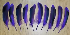 Lot of 10 Dyed Domestic Mallard Duck 5" Wing Quill Feather