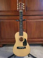 UNIQUE PIGNoSE SMALL SCALE 6 STRING ACOUSTIC GUITAR NO WARPS TUNES AND PLAYS