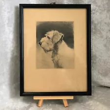 Vintage Etching ~ Sealyham Terrier ~ by Otto Bache