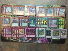 Yugioh! Yang Zing Deck Core +Extras