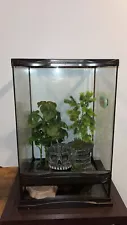 Tropical Reptile Terrarium Kit- Includes Everything