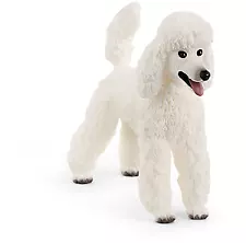 Poodle