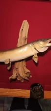 Real Skin Mount Northern Pike