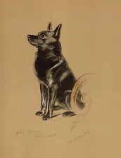 1940 Antique Schipperke Dog Print Lucy Dawson Schipperke Art Illustration 5083v