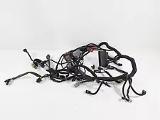 2006 Harley VRSCR Street V-Rod Main & Engine Wiring Harness 70162-06